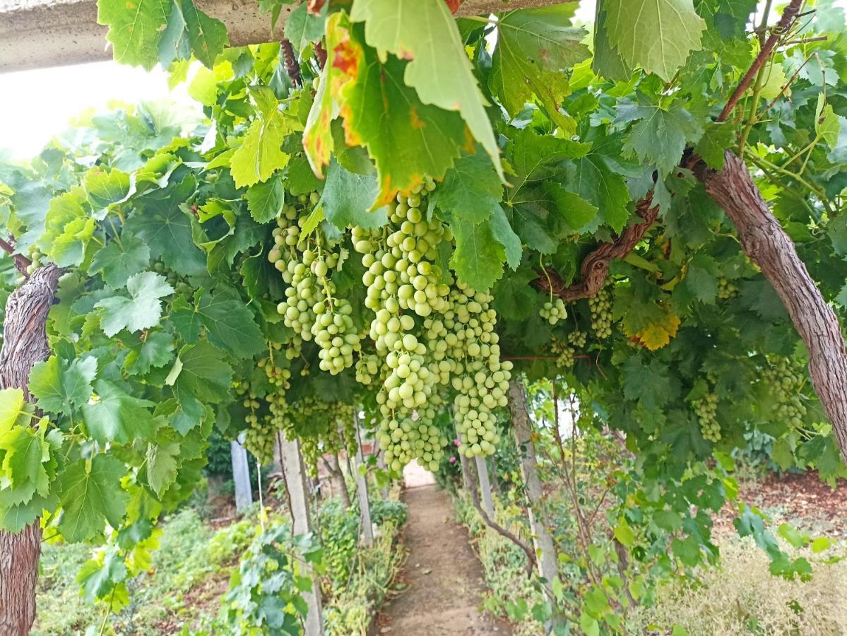 فيلا Trullo22 مارتينا فرانكا المظهر الخارجي الصورة