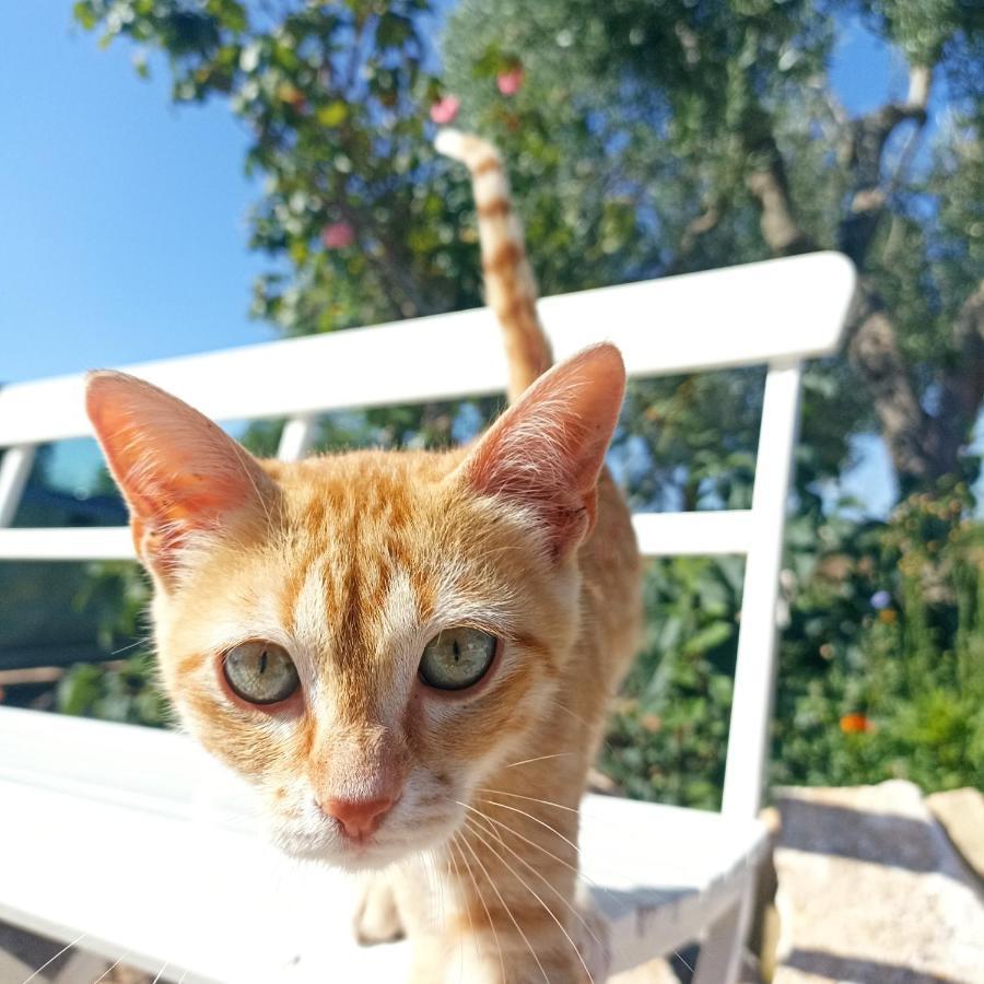 فيلا Trullo22 مارتينا فرانكا المظهر الخارجي الصورة